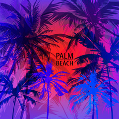 Sunset on palm beach