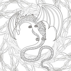 mystery dragon coloring page