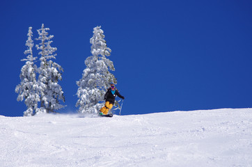 vacances d'hiver - femme en monoski
