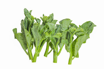 Baby broccoli isolated on white background, Thailand.