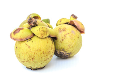 Three Green mangosteen on white background