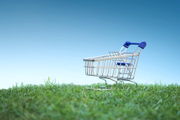 Trolley on green grass, Green Shopping concept