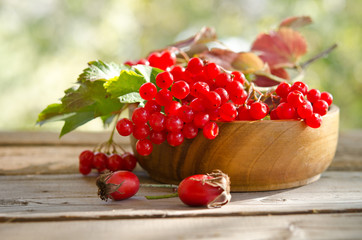 Red Viburnum berries in wooden bowl on the table with two rose h