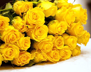 yellow roses