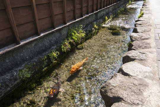最適な 島原湧水群 画像 ストック写真 ベクター Adobe Stock 最適な 島原湧水群 画像 ストック写真 ベクター Adobe Stock