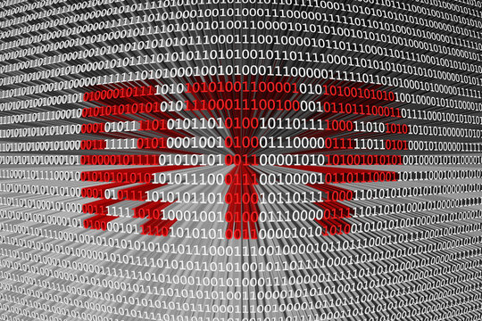 rtp is presented in the form of binary code