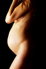 Pregnant woman belly