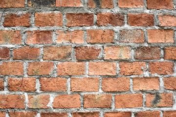 Obraz premium Classic brick wall
