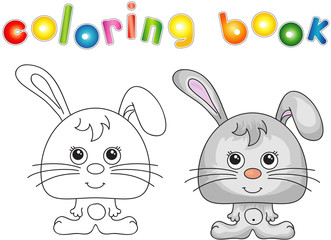 Obraz na płótnie Canvas Funny and cute hare (rabbit)