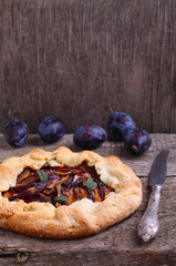 biscuit with the addition of cornmeal with plum