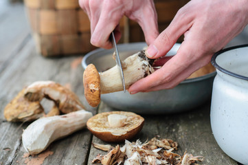 Cleaning process of edible forest mushrooms
