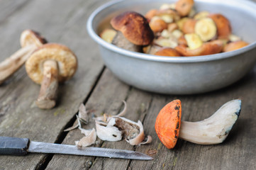 Cleaning process of edible forest mushrooms