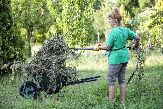 Seniorin bei Gartenarbeit 