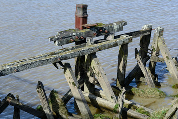 Old and broken wooden mooring posts and pilings, bordeaux (france)