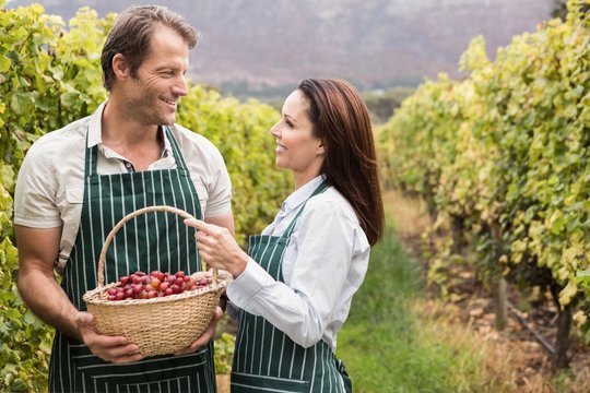 Smiling winegrower couple holding a basket of grapes