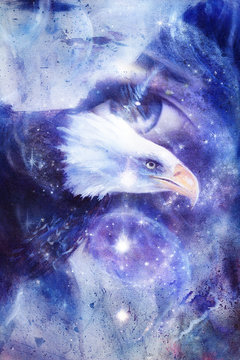 painting eagle and woman eye in space with stars.  yin yang