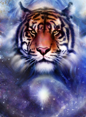 painting  tiger on color space background, wildlife animals