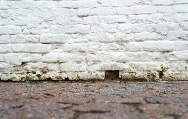 Empty grunge brick wall and pavement