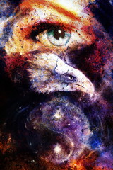 painting eagle with woman eye on abstract background