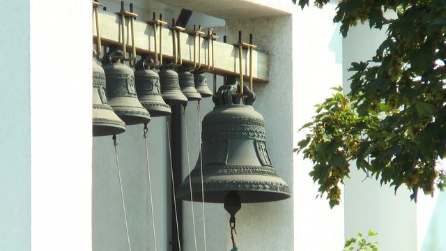 From the branches of a maple visible seven church bells