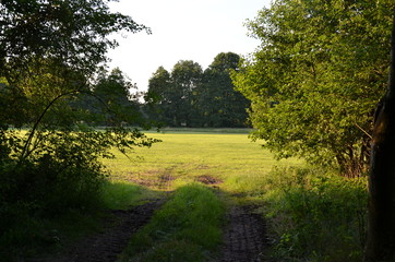 Depression - Weg ins Licht