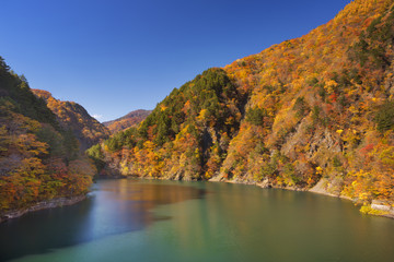 Autumn at Azusa Lake in the Japanese Alps