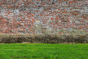 Old red Brick wall with green grass