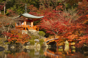 Fototapeta premium Jesienne kolory w Daigo-ji Temple w Kyoto, Japan