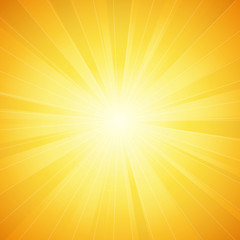 Obraz premium shiny sun vector