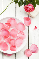 Rose petals in bowl of water