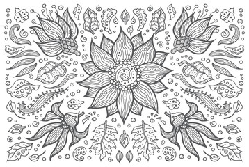 Illustration of hand drawn vintage floral retro elements