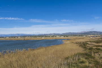 Paradise for waterfowl