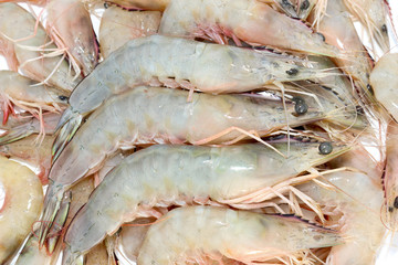 Fresh shrimp