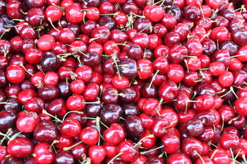 Red cherries

Red cherries at the market place