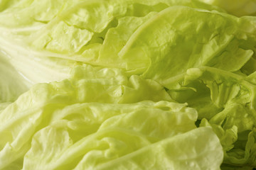 Naklejka na ściany i meble Cabbage Background / Cabbage / Cabbage Close-up Background