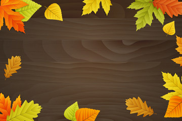 vector autumn background on wooden board