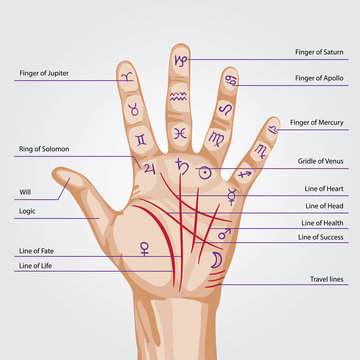 Palmistry Map On Open Palm