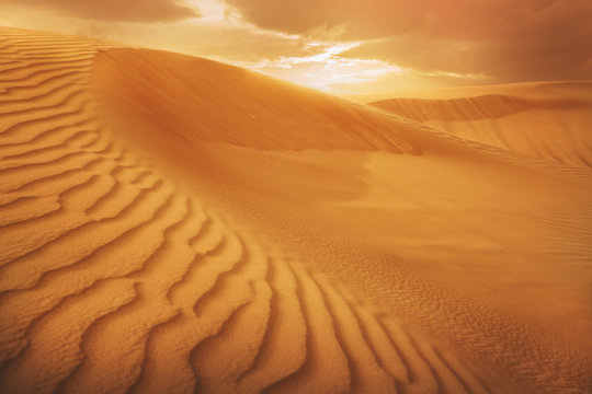 Desert Landscape