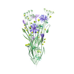 Isolated bouquet of wildflowers and cornflowers painted in watercolor on a white background, decoration postcard, greeting card or invitation