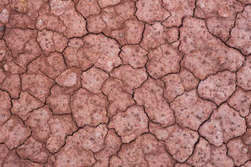 Cracked and barren ground