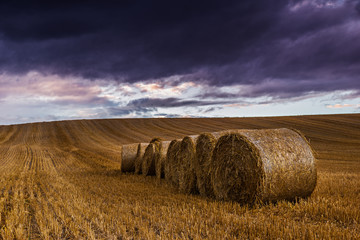 Straw bales in the field at sunset with dramatic sky