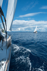 Fototapeta premium segeln