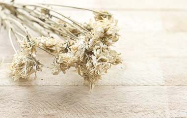 dry flower on wood background with soft light orange sepia vintage tone