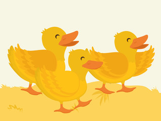 Rural and farm icons