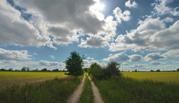Ehemalige Rieselfelder bei Teltow-Ruhlsdorf