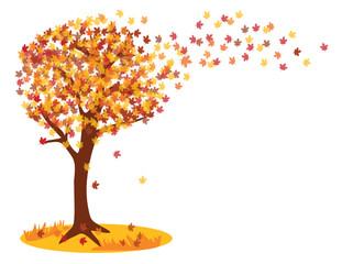 Wenn die Bl&auml;tter von den B&auml;umen verweht werden