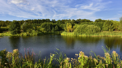 colors surround a small lake near Round Pond