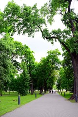 Obraz premium The Cathedral Square in central Vilnius on summer