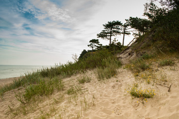 View of the dunes at baltic sea
