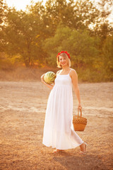 Fototapeta na wymiar beautiful woman with a basket and watermelon in a field outdoors